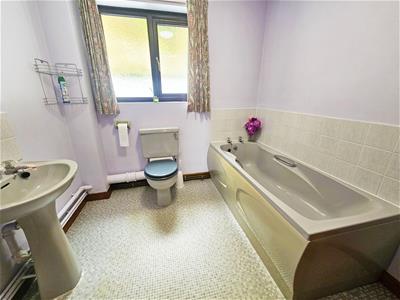 Picture 15
